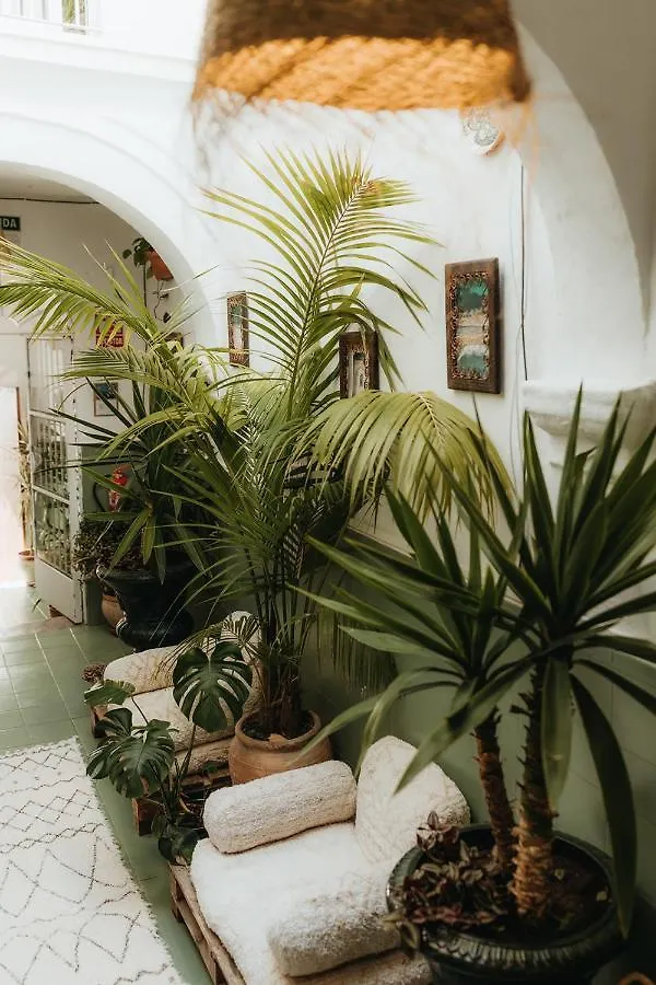 Vendégház Hostal Africa Tarifa