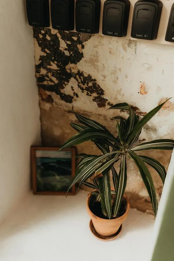** Vendégház Hostal Africa Tarifa Spanyolország