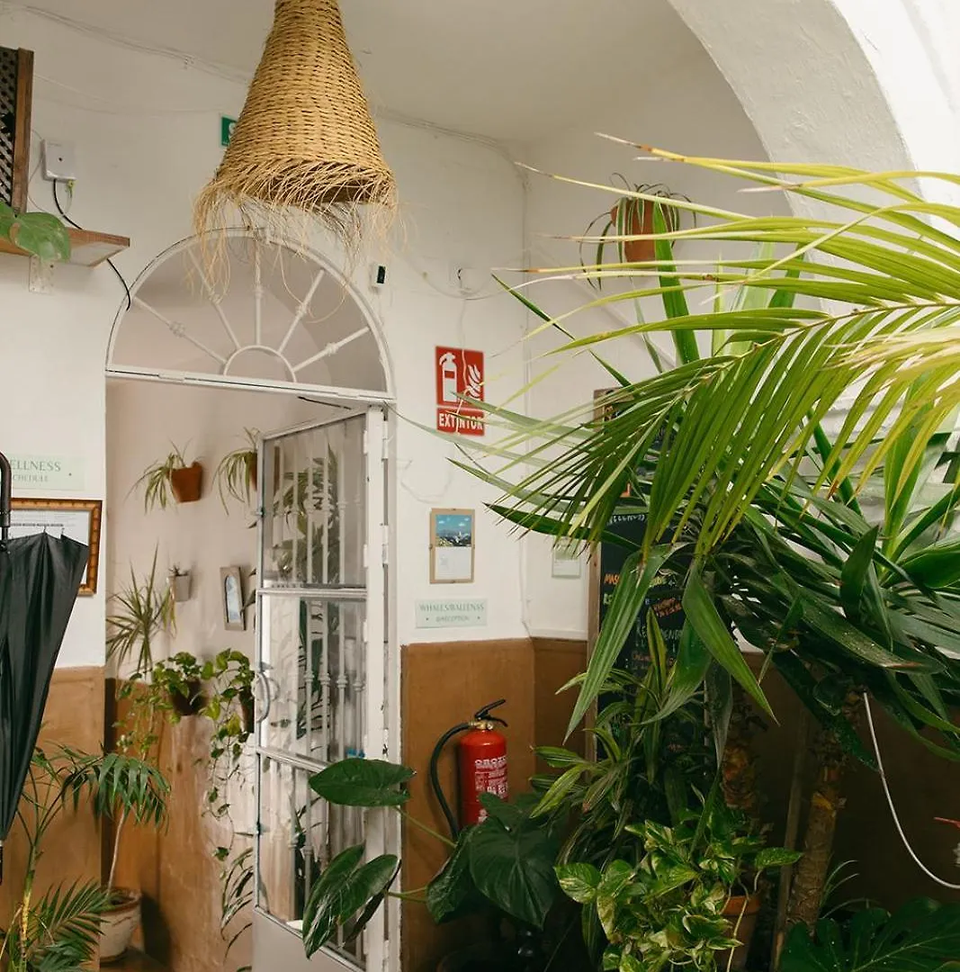 Vendégház Hostal Africa Tarifa