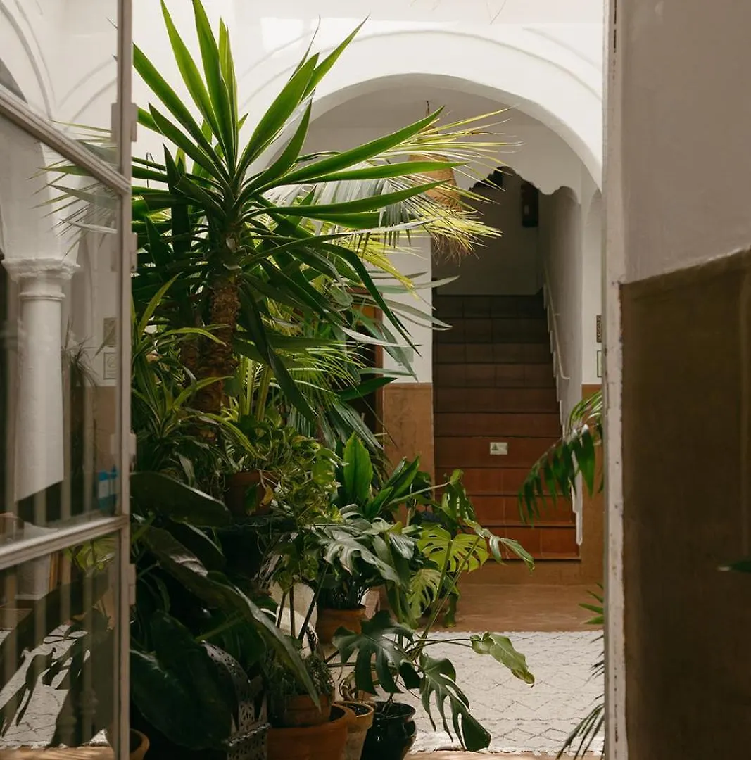 Hostal Africa Tarifa